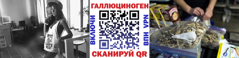 mega ONION  Знаменск  Галлюциногенные грибы Psilocybine cubensis  где найти  
